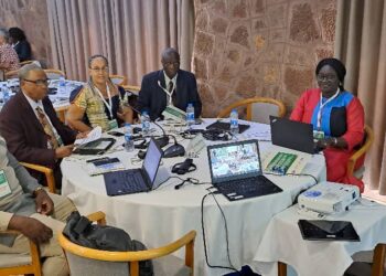Despacho ministerial que cria o GTCNV/ NITAG na Guiné-Bissau